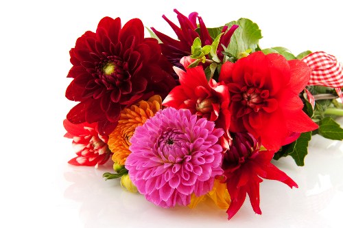 Beautiful bouquet ready for delivery by Flowers by Florist