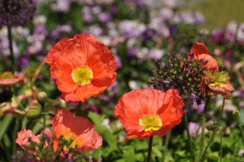 Seasonal flowers arranged elegantly by a florist