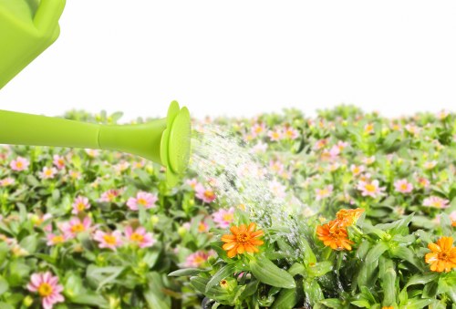 Variety of fresh, seasonal flowers in bouquets