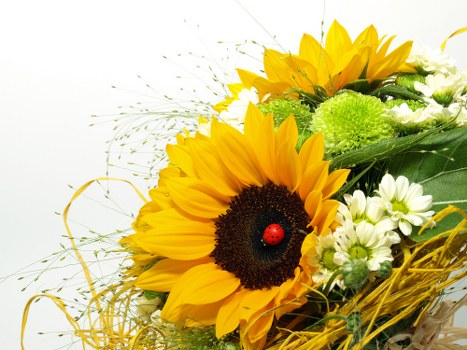 Professional florist preparing flower arrangements