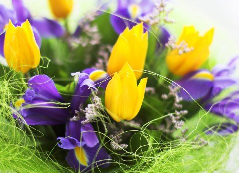 Assortment of colorful flowers available for delivery